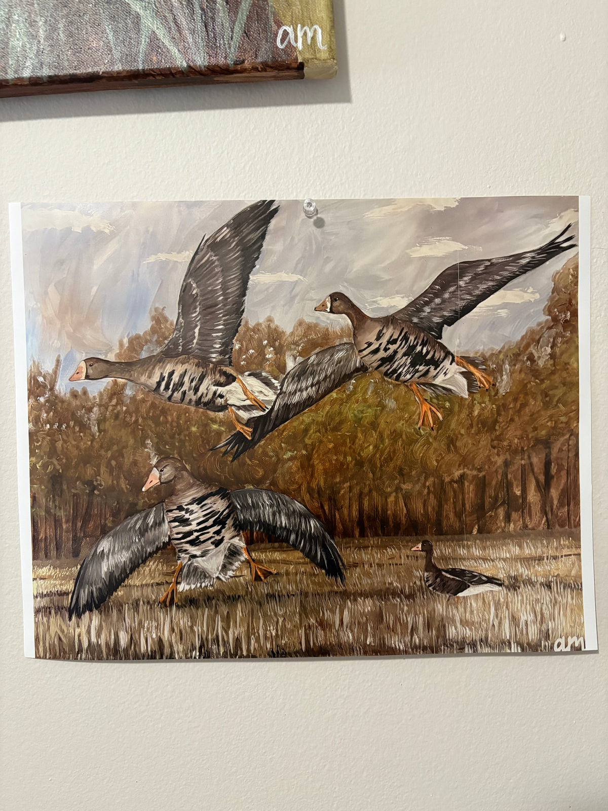 11x14 Speckled Bellies Print