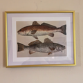 9x12 Red/Trout Print