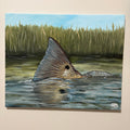 20x24 Tailing Redfish