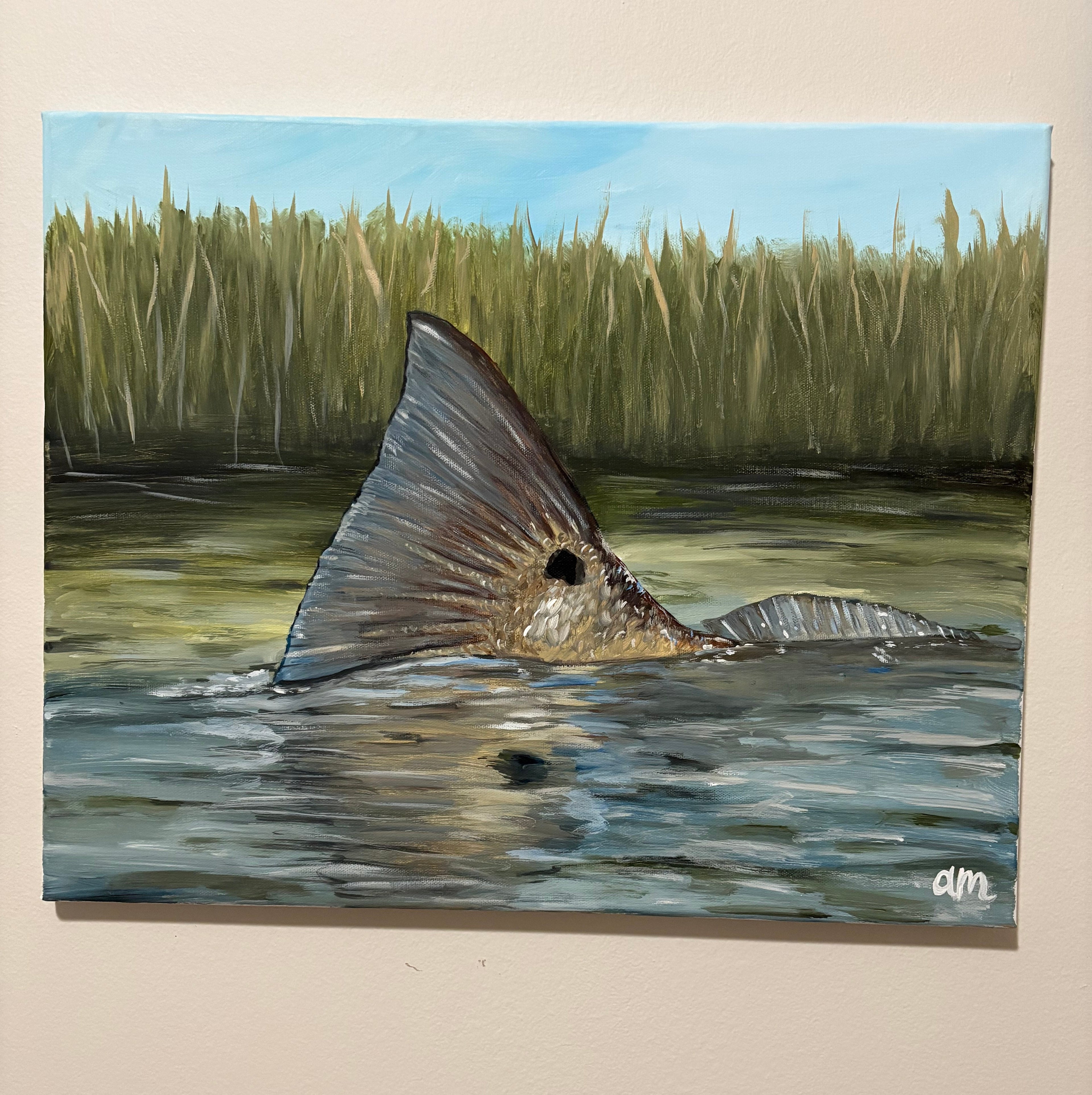 20x24 Tailing Redfish