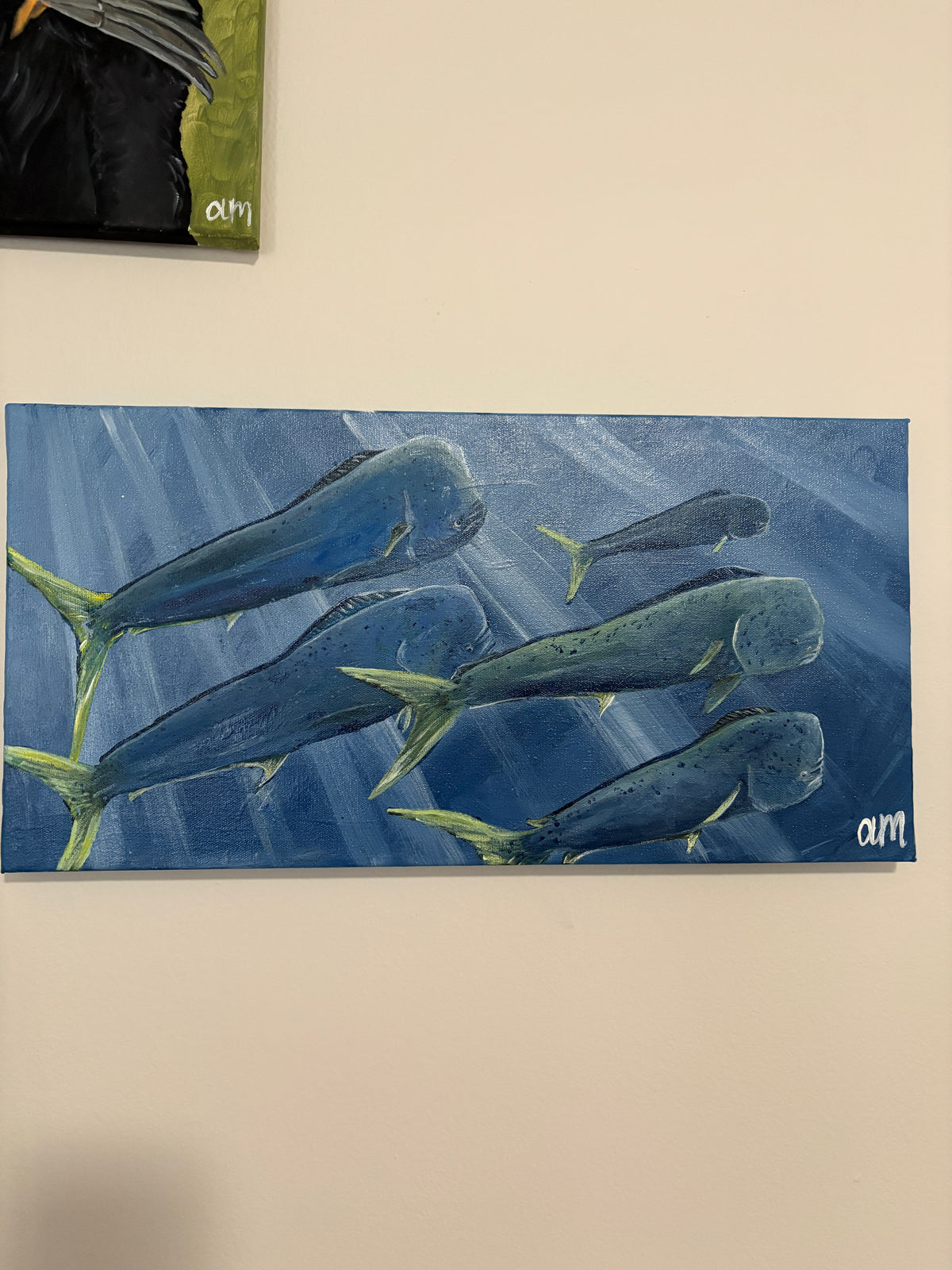 10x20 Mahi Mahi School