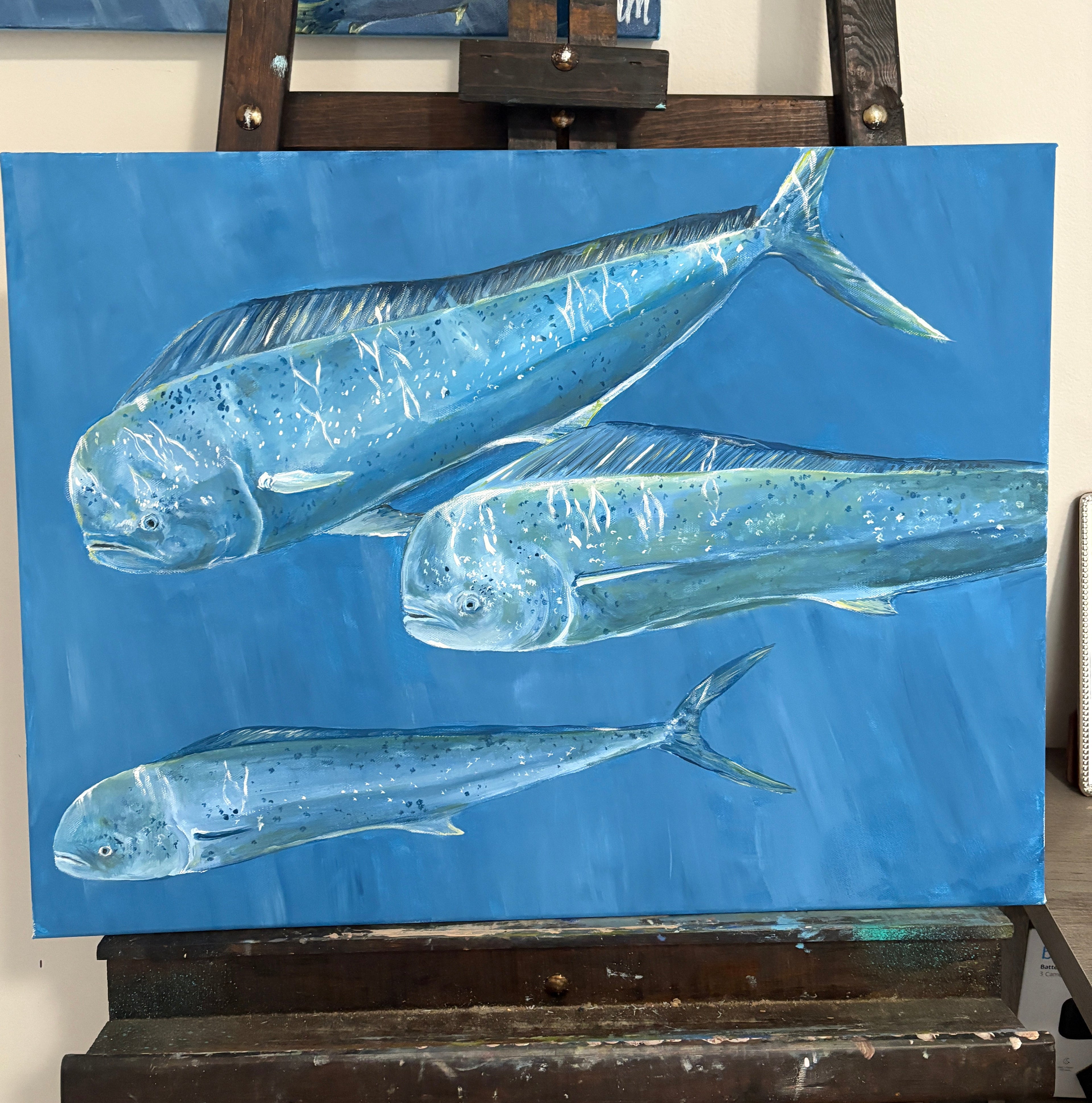 18x24 Mahi Mahi