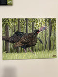 12x16 Turkey