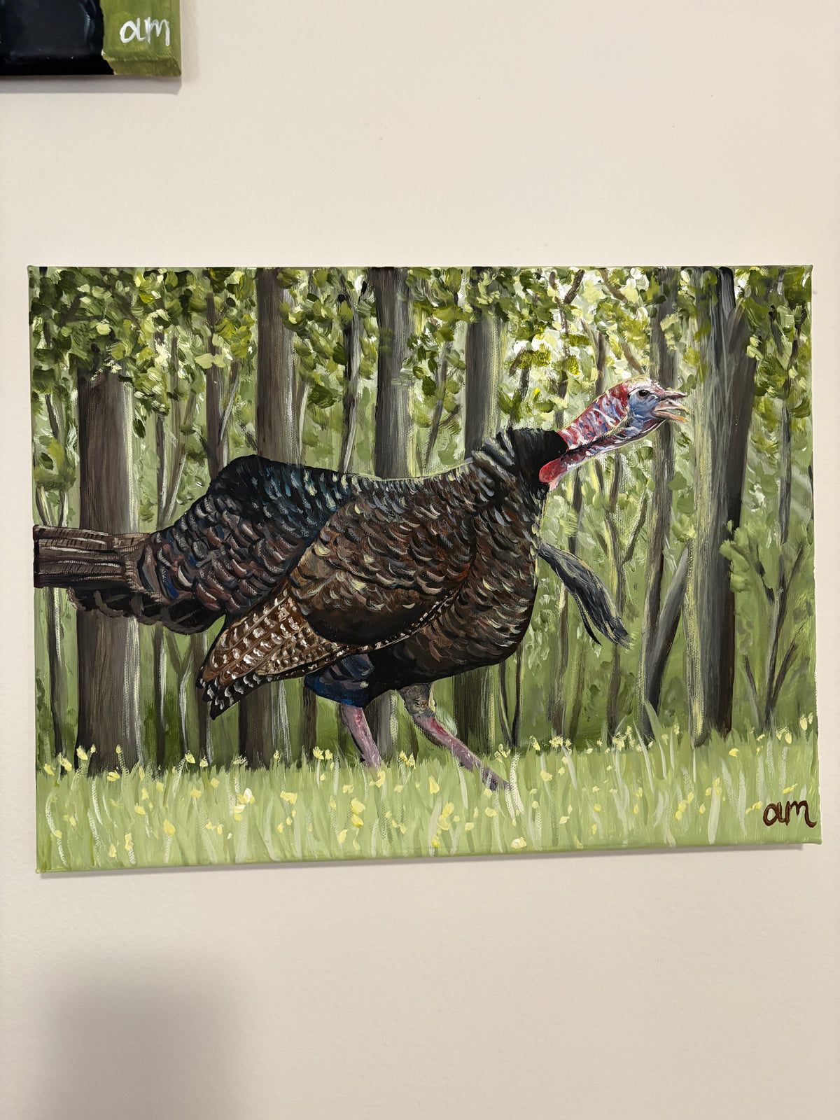 12x16 Turkey