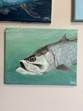 11x14 Tarpon