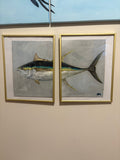 9x12 Yellowfin Tuna on Canvas Panel
