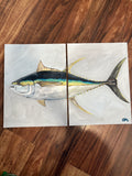 9x12 Yellowfin Tuna on Panel