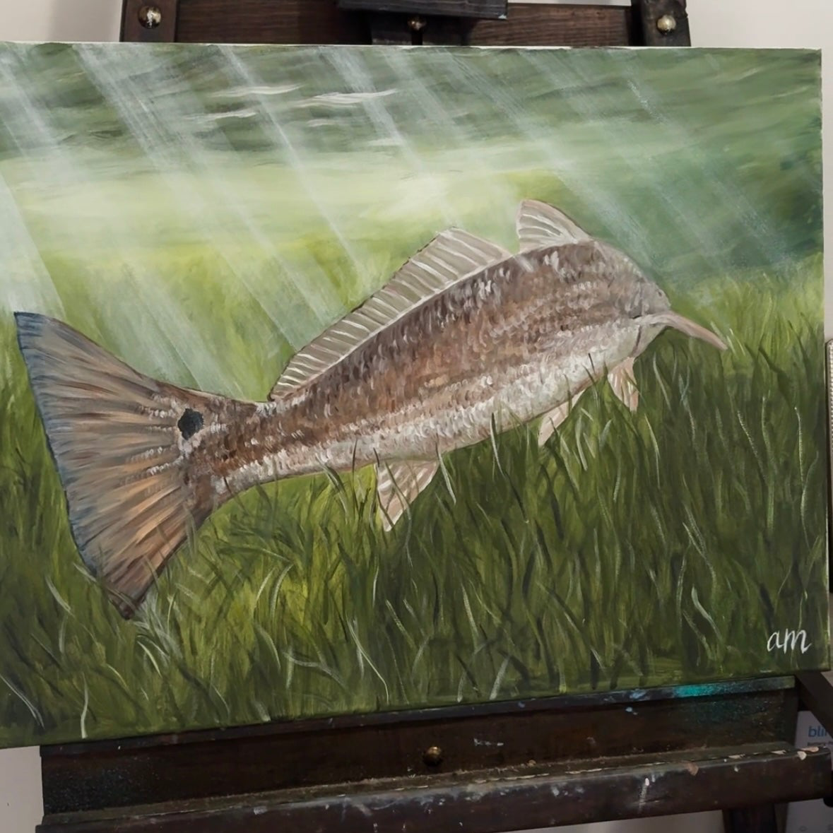 18x24 Redfish