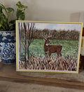 Whitetail Print